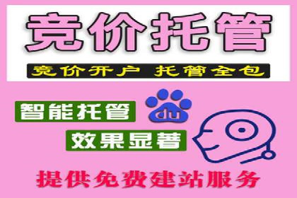 百度竞价推广案例：打造品牌影响力